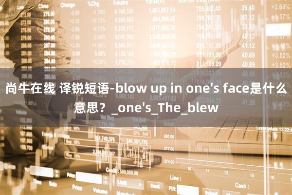 尚牛在线 译锐短语-blow up in one's face是什么意思？_one's_The_blew