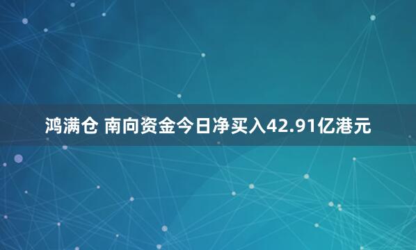 鸿满仓 南向资金今日净买入42.91亿港元